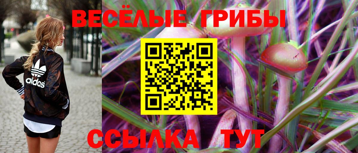 Галлюциногенные грибы GOLDEN TEACHER Городец