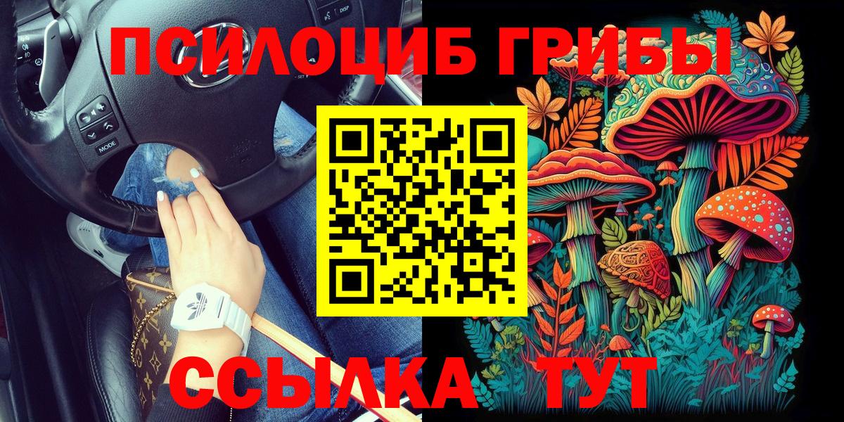 Городец  Галлюциногенные грибы Psilocybe  Вход с VPN 